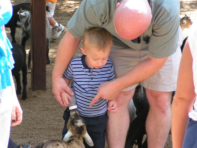 Lukas_Daddy_Feeding_Goats_(Small).JPG
