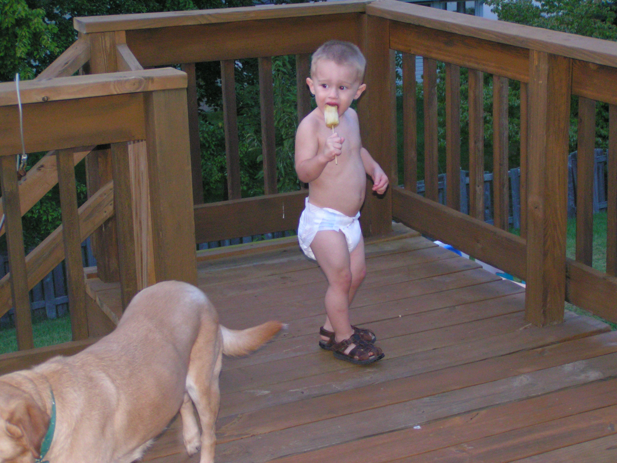 lukas_eating_bacicle.jpg